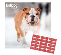 Avonside Bulldog 2027 Square Calendar with Organisational Stickers