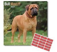 Avonside Bullmastiff 2027 Square Calendar with Organisational Stickers
