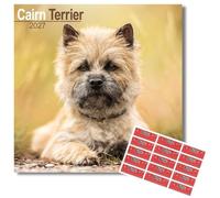 Avonside Cairn Terrier 2027 Square Calendar with Organisational Stickers