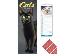 Avonside Cats 2027 Slimline Calendar with Organisational Stickers