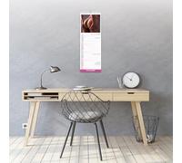 Avonside Cheeky Bums 2027 Slimline Calendar with Organisational Stickers