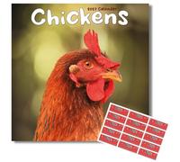 Avonside Chickens 2027 Calendar with Organisational Stickers, 16 Month Square Wall Calendar (Sept 2026 - Dec 2027), UK Planner with Chickens, For Animal Lovers, Home or Office, 11.6 x 11.6 in