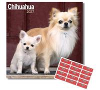 Avonside Chihuahua 2027 Square Calendar with Organisational Stickers