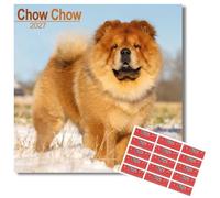 Avonside Chow Chow 2027 Calendar with Organisational Stickers, 16 Month Square Wall Calendar (Sept 2026 - Dec 2027), UK Planner with Chow Chows, For Dog Lovers, Home or Office, 11.6 x 11.6 in