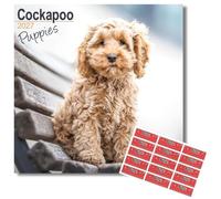 Avonside Cockapoo Puppies 2027 Square Calendar with Organisational Stickers