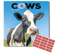 Avonside Cows 2027 Calendar with Organisational Stickers, 16 Month Square Wall Calendar (Sept 2026 - Dec 2027), UK Planner for Animal Lovers, Home or Office, 11.6 x 11.6 in