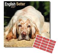 Avonside English Setter 2027 Square Calendar with Organisational Stickers