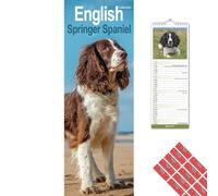Avonside English Springer Spaniel 2027 Slimline Calendar with Organisational Stickers, 12 Month UK Wall Planner (Jan-Dec 2027), Home, Office or Kitchen Organiser for Dog Lovers, 15 x 42 cm