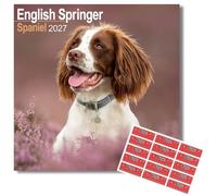 Avonside English Springer Spaniel 2027 Square Calendar with Stickers
