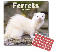 Avonside Ferrets 2027 Square Calendar with Organisational Stickers