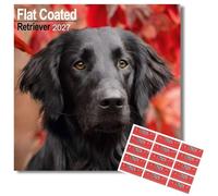 Avonside Flat Coated Retriever 2027 Calendar with Organisational Stickers