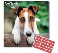 Avonside Fox Terrier 2027 Square Calendar with Organisational Stickers | 16 Month Square Wall Calendar, Month to View Layout, Marked UK Holidays, High Quality Images, Home or Office Planner, 12x12in