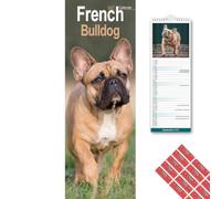 Avonside French Bulldog 2027 Slimline Calendar with Organisational Stickers