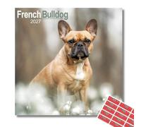Avonside French Bulldog 2027 Square Calendar with Organisational Stickers | 16 Month Square Wall Calendar, Month to View Layout, Marked UK Holidays, High Quality Images, Home or Office Planner, 12x12in