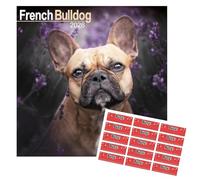 Avonside French Bulldog 2027 Square Calendar with Organisational Stickers