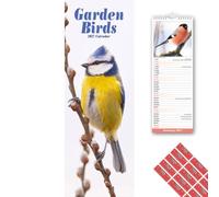 Avonside Garden Birds 2027 Slimline Calendar with Organisational Stickers