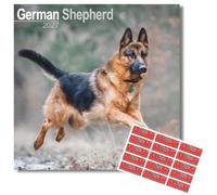 Avonside German Shepherd 2027 Square Calendar with Organisational Stickers