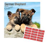 Avonside German Shepherd Puppies 2027 Calendar with Organisational Stickers, 16 Month Square Wall Calendar (Sept 2026 - Dec 2027), UK Planner for Dog Lovers, For Home or Office, 11.6 x 11.6 in