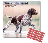Avonside German Shorthaired Pointer 2027 Square Calendar with Stickers