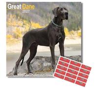 Avonside Great Dane 2027 Square Calendar with Organisational Stickers