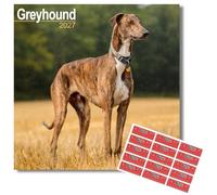 Avonside Greyhound 2026-2027 Calendar with Organisational Stickers, 16 Month Square Wall Calendar (Sept 2026 - Dec 2027), UK Planner with Greyhounds, For Dog Lovers, Home or Office, 11.6 x 11.6 in