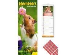 Avonside Hamsters 2027 Slimline Calendar with Organisational Stickers