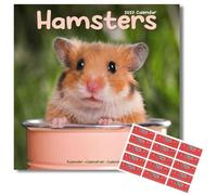 Avonside Hamsters 2027 Square Calendar with Organisational Stickers