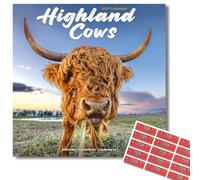 Avonside Highland Cows 2027 Square Calendar with Organisational Stickers | 16 Month Square Wall Calendar, Month to View Layout, Marked UK Holidays, High Quality Images, Home or Office Planner, 12x12in