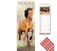Avonside Horses 2027 Slimline Calendar with Organisational Stickers
