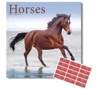 Avonside Horses 2027 Square Calendar with Organisational Stickers