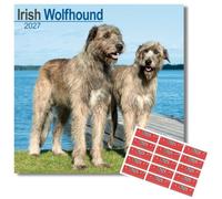 Avonside Irish Wolfhound 2027 Calendar with Organisational Stickers, 16 Month Square Wall Calendar (Sept 2026 - Dec 2027), UK Planner for Dog Lovers, Home or Office, 11.6 x 11.6 in