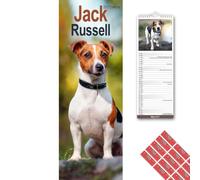 Avonside Jack Russell 2027 Slimline Calendar with Organisational Stickers