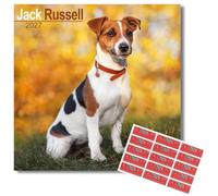 Avonside Jack Russell 2027 Square Calendar with Organisational Stickers