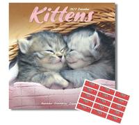 Avonside Kittens 2027 Calendar with Organisational Stickers, 16 Month Square Wall Calendar (Sept 2026 - Dec 2027), UK Planner with Kittens, For Cat Lovers, Home or Office, 11.6 x 11.6 in