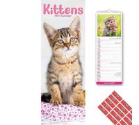Avonside Kittens 2027 Slimline Calendar with Organisational Stickers