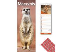 Avonside Meerkats 2027 Slimline Calendar with Organisational Stickers