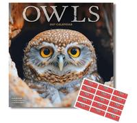Avonside Owls 2027 Square Calendar with Organisational Stickers