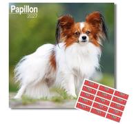 Avonside Papillon 2027 Square Calendar with Organisational Stickers