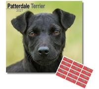 Avonside Patterdale Terrier 2027 Calendar with Organisational Stickers