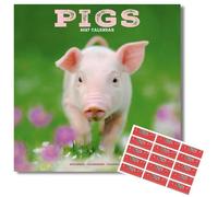 Avonside Pigs 2027 Square Calendar with Organisational Stickers
