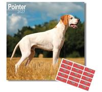 Avonside Pointer 2027 Calendar with Organisational Stickers, 16 Month Square Wall Calendar (Sept 2026 - Dec 2027), UK Planner with Pointers, For Dog Lovers, Home or Office, 11.6 x 11.6 in