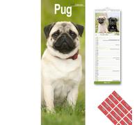 Avonside Pug 2027 Slimline Calendar with Organisational Stickers, 12 Month UK Wall Planner (Jan-Dec 2027), Home, Office or Kitchen Organiser for Dog Lovers, 15 x 42 cm