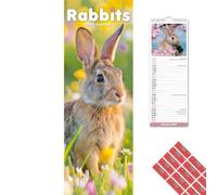 Avonside Rabbits 2027 Slimline Calendar with Organisational Stickers