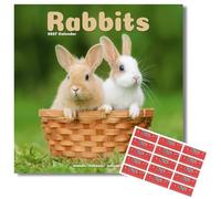 Avonside Rabbits 2027 Square Calendar with Organisational Stickers