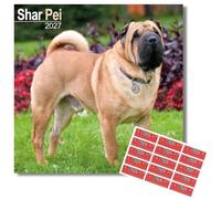 Avonside Shar Pei 2027 Square Calendar with Organisational Stickers