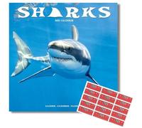 Avonside Sharks 2027 Calendar with Organisational Stickers, 16 Month Square Wall Calendar (Sept 2026 - Dec 2027), UK Planner with Sharks, For Animal Lovers, Home or Office, 11.6 x 11.6 in