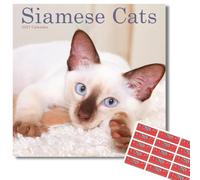 Avonside Siamese Cats 2027 Square Calendar with Organisational Stickers | 16 Month Square Wall Calendar, Month to View Layout, Marked UK Holidays, High Quality Images, Home or Office Planner, 12x12in