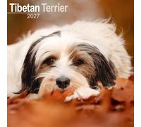 Avonside Tibetan Terrier 2027 Square Calendar with Organisational Stickers