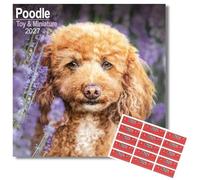 Avonside Toy and Miniature Poodle 2027 Calendar with Organisational Stickers, 16 Month Square Wall Calendar (Sept 2026 - Dec 2027), UK Planner for Dog Lovers, For Home or Office, 11.6 x 11.6 in