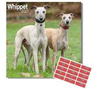Avonside Whippet 2027 Square Calendar with Organisational Stickers